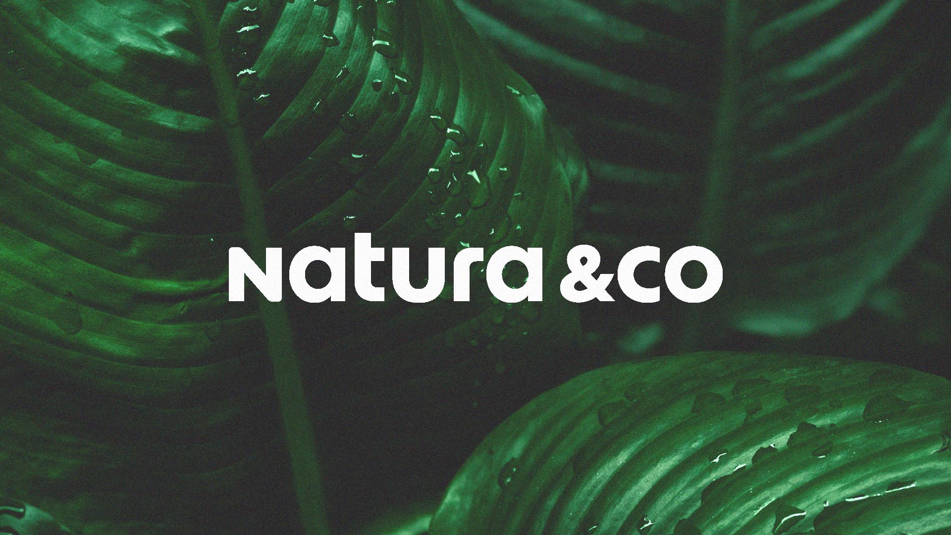 Natura &Co Job Vacancy Opportunities to Grow in 2025